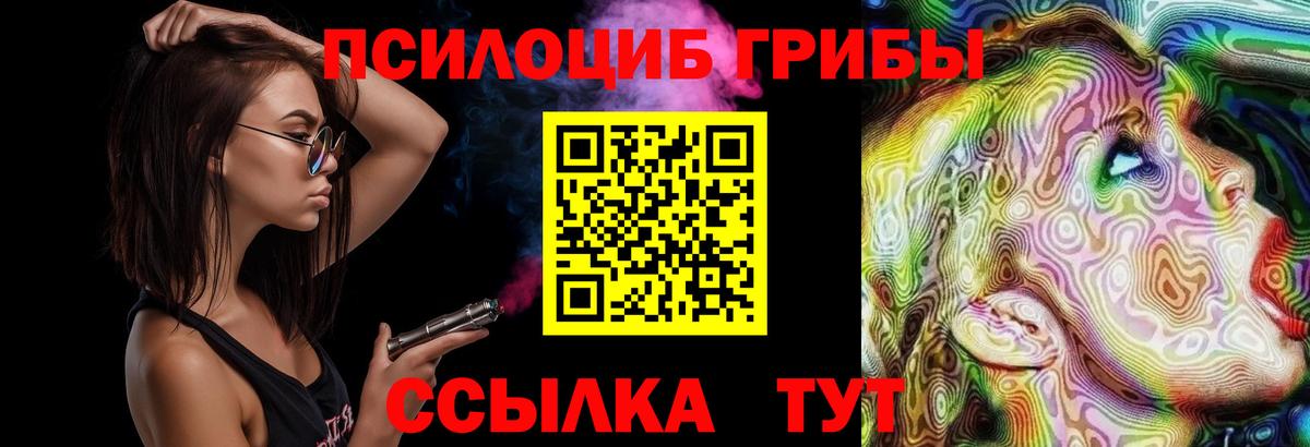 Брянск  Псилоцибиновые грибы мухоморы  Вход с VPN  Псилоцибиновые грибы ЛСД 